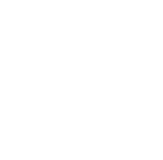 github_icon
